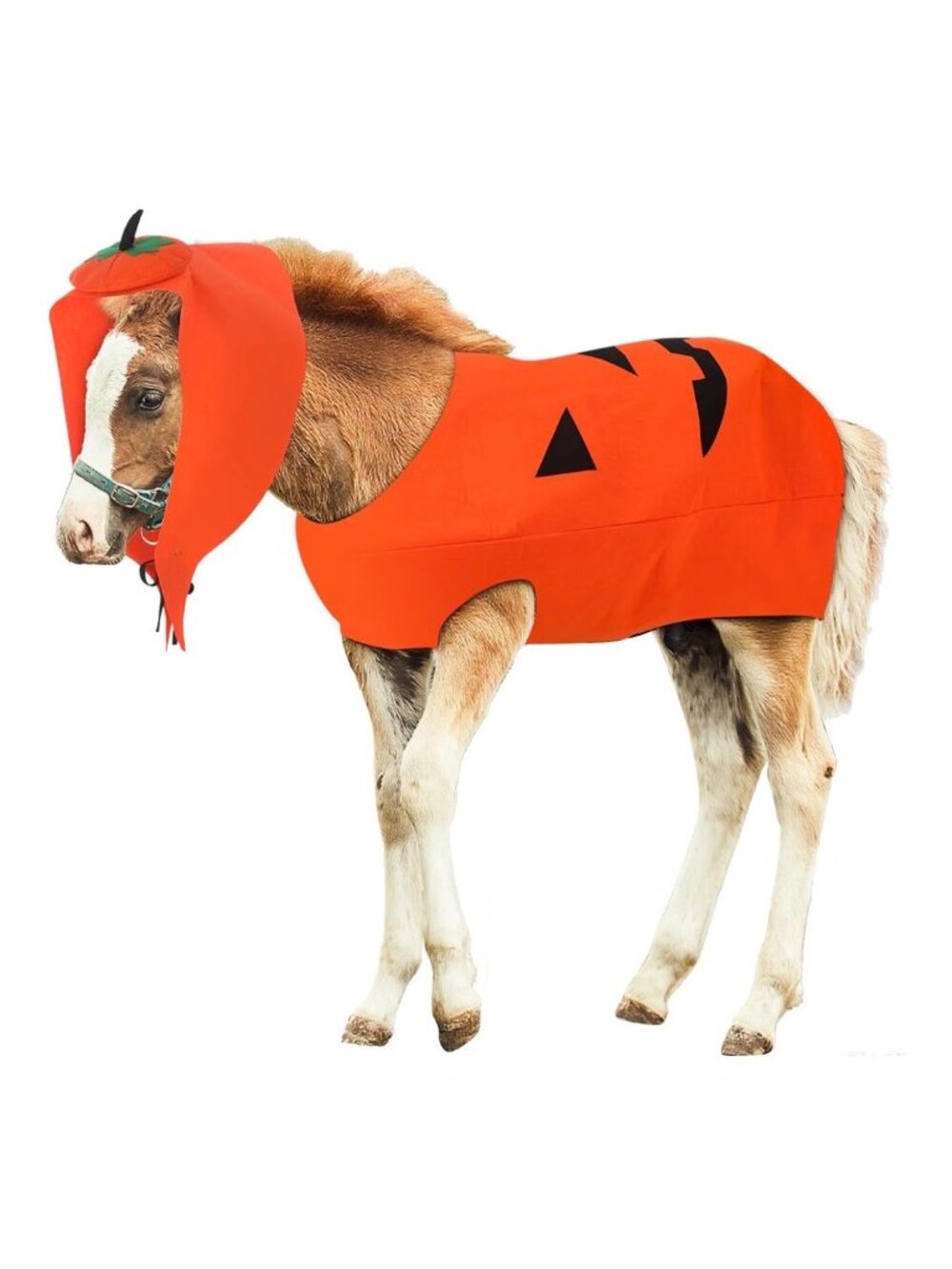Pumpkin Horse Halloween Costume Full Body Outfit